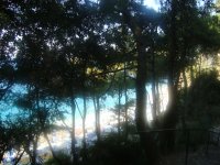 dsc05009