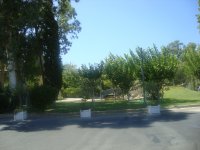 dsc05022