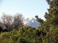 IMG_6526