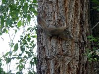IMG_6531