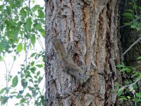 IMG_6532