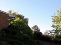 IMG_6533
