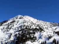 IMG_3303