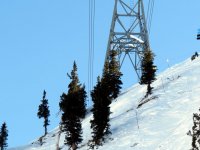 IMG_3305