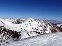 IMG_3323