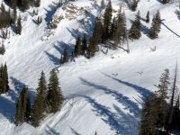 IMG_3364