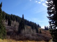 DSC03900