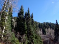 DSC03901
