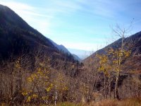 DSC03930