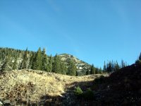 DSC03973
