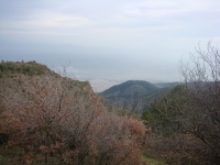 DSC08403