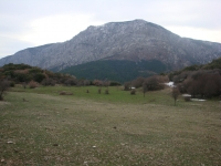 DSC08413