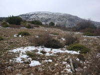 DSC08431