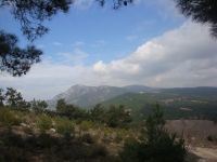 DSC08515