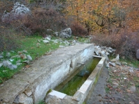 DSC01250