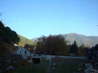 DSC01251