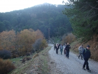 DSC01255