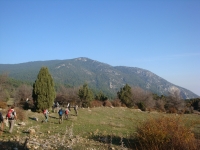DSC01259
