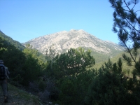 DSC01263