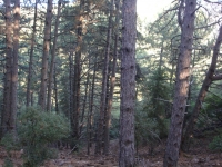 DSC01265
