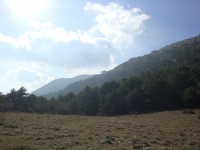 DSC01286