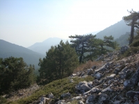 DSC01288