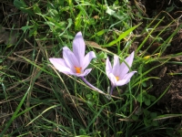 DSC01330