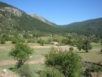 DSC06940