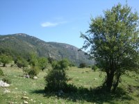 DSC06943