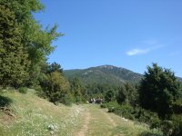 DSC06945