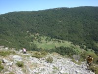 DSC06982