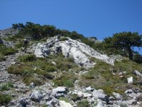 DSC06987