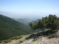 DSC06988
