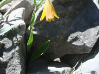 DSC06990