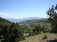 DSC07043