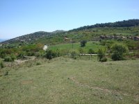 DSC07047