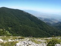 spildenova