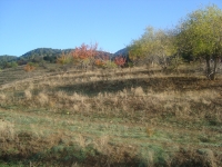 DSC05030