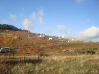 DSC05032