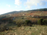 DSC05034