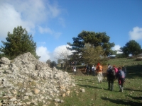 DSC05043