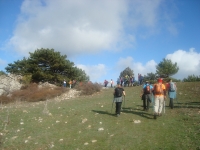 DSC05044
