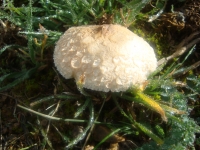 DSC05050