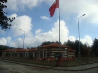DSC05053