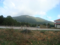 DSC05056
