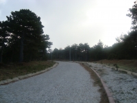 DSC05058