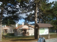 DSC05065