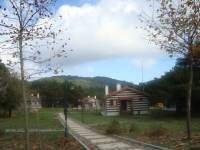 DSC05068