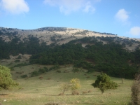 DSC05070