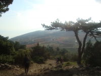 DSC05074